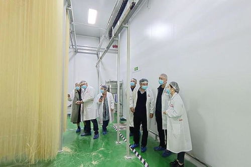 潢川欣然工艺品公司 以匠心传承，打造民间文化教育与研学旅行新标杆